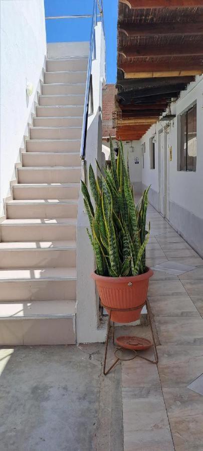 Hotel Paraaco Paracas Exteriör bild